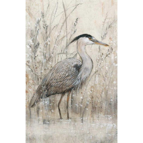 Hunt in Shallow Waters I White Modern Wood Framed Art Print by OToole, Tim