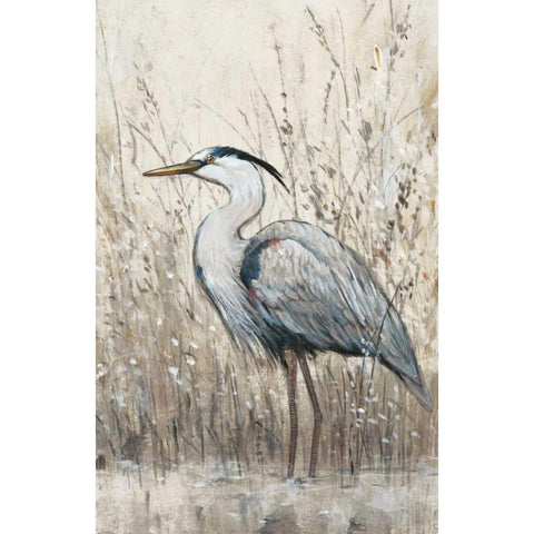 Hunt in Shallow Waters II Black Modern Wood Framed Art Print with Double Matting by OToole, Tim