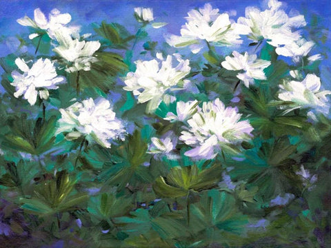 Spring Flowers White Modern Wood Framed Art Print with Double Matting by Finch, Sheila