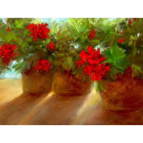 Crimson Glow White Modern Wood Framed Art Print by Finch, Sheila