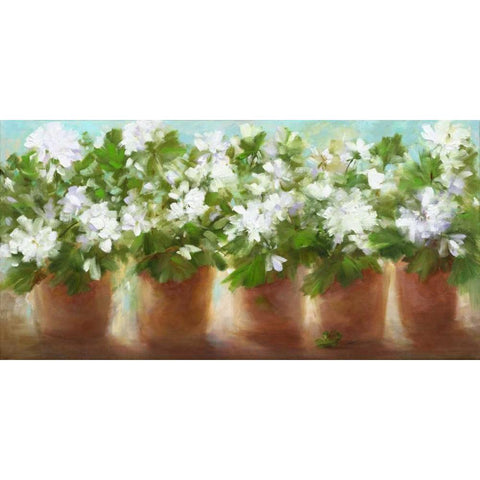 In Full Bloom Black Modern Wood Framed Art Print by Finch, Sheila