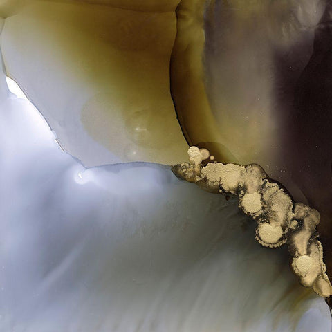 Jupiter Daybreak I Black Modern Wood Framed Art Print by Borges, Victoria