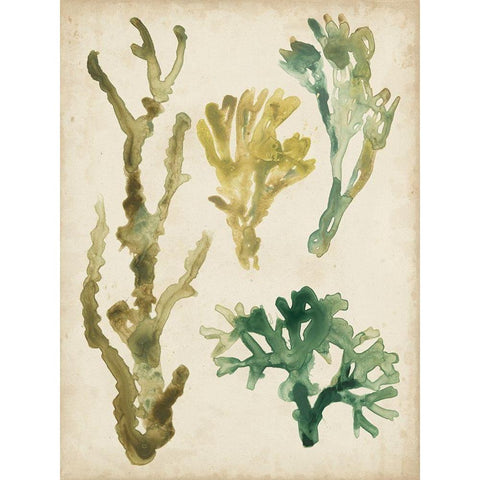 Vintage Sea Fronds V Black Modern Wood Framed Art Print with Double Matting by Vess, June Erica