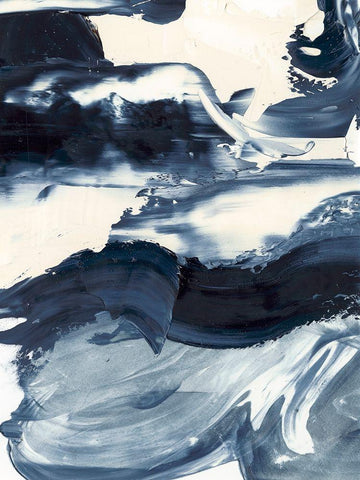 Wave Rider I Black Ornate Wood Framed Art Print with Double Matting by Harper, Ethan