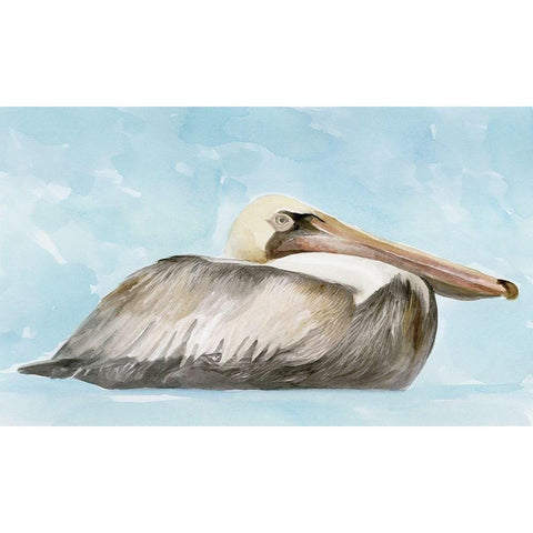 Soft Brown Pelican I Black Modern Wood Framed Art Print with Double Matting by Stellar Design Studio