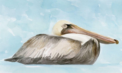 Soft Brown Pelican I Black Ornate Wood Framed Art Print with Double Matting by Stellar Design Studio