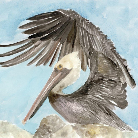 Soft Brown Pelican II Black Ornate Wood Framed Art Print with Double Matting by Stellar Design Studio