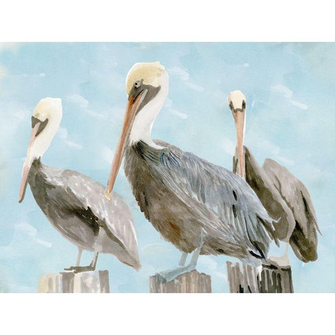 Soft Brown Pelican III Gold Ornate Wood Framed Art Print with Double Matting by Stellar Design Studio