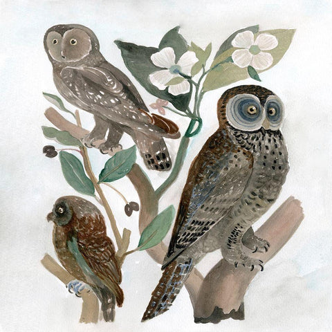 Traditional Owls II Black Ornate Wood Framed Art Print with Double Matting by Stellar Design Studio