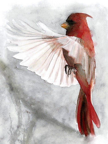 Cardinals II White Modern Wood Framed Art Print with Double Matting by Stellar Design Studio