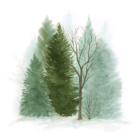 Walk in the Woods II White Modern Wood Framed Art Print with Double Matting by Popp, Grace