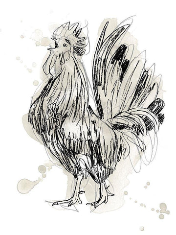 Feathered Fowl II White Modern Wood Framed Art Print with Double Matting by Vess, June Erica