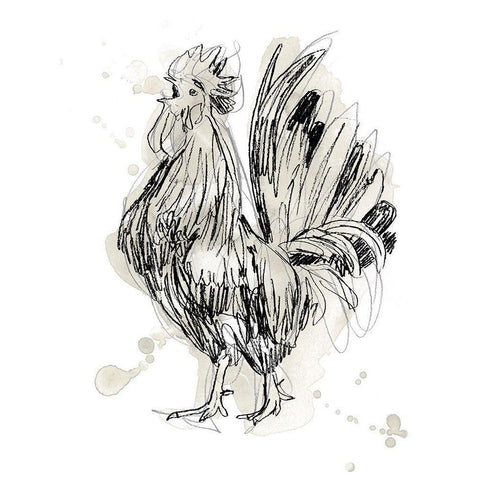Feathered Fowl II Gold Ornate Wood Framed Art Print with Double Matting by Vess, June Erica