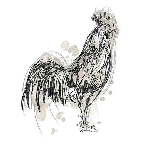 Feathered Fowl III Gold Ornate Wood Framed Art Print with Double Matting by Vess, June Erica