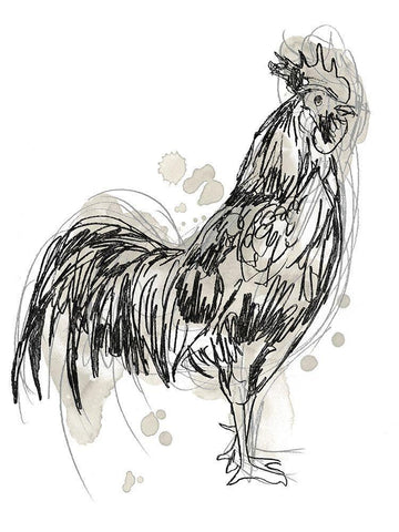 Feathered Fowl III White Modern Wood Framed Art Print with Double Matting by Vess, June Erica