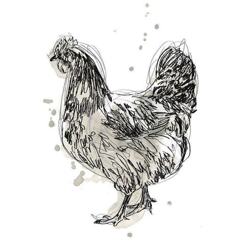 Feathered Fowl IV Black Modern Wood Framed Art Print with Double Matting by Vess, June Erica