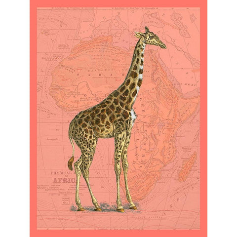 African Animals on Coral I Black Modern Wood Framed Art Print with Double Matting by Studio W