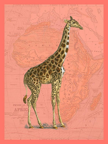 African Animals on Coral I White Modern Wood Framed Art Print with Double Matting by Studio W