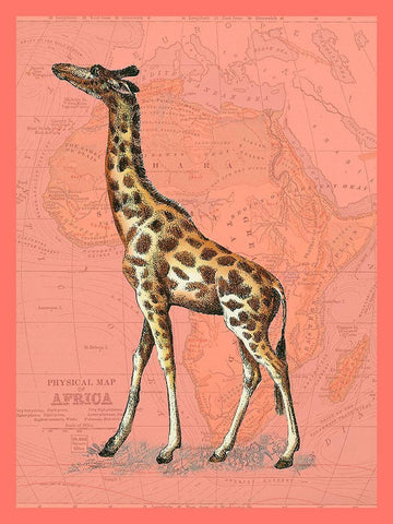 African Animals on Coral II White Modern Wood Framed Art Print with Double Matting by Studio W