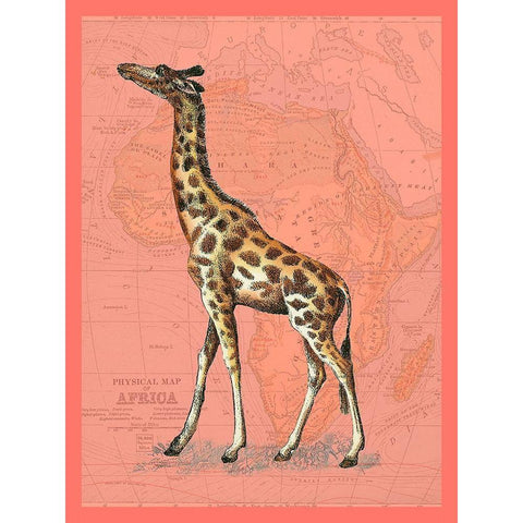 African Animals on Coral II Gold Ornate Wood Framed Art Print with Double Matting by Studio W