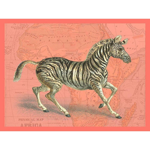 African Animals on Coral III Black Modern Wood Framed Art Print by Studio W