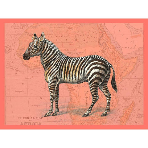 African Animals on Coral IV Black Modern Wood Framed Art Print with Double Matting by Studio W