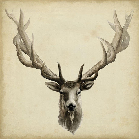 Triptych Elk Square White Modern Wood Framed Art Print by Popp, Grace
