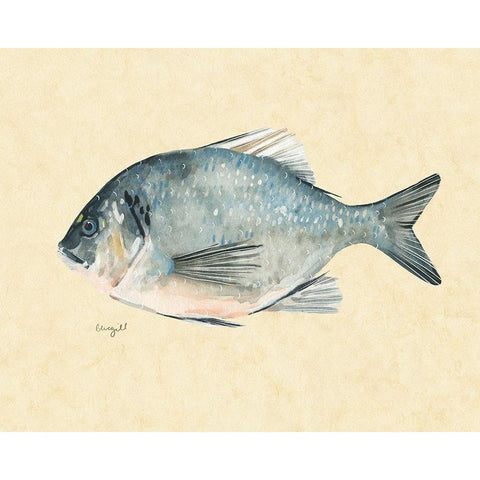 Catch of the Day I Black Modern Wood Framed Art Print with Double Matting by Scarvey, Emma