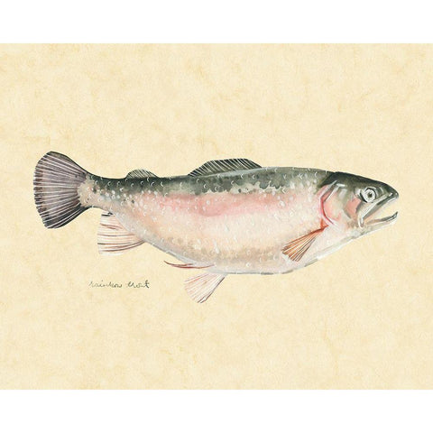 Catch of the Day III White Modern Wood Framed Art Print by Scarvey, Emma