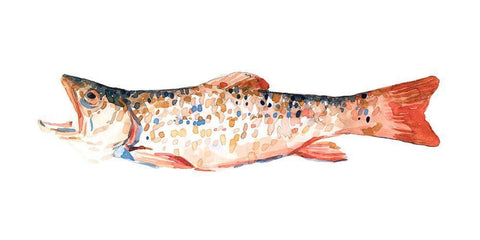 Freckled Trout I White Modern Wood Framed Art Print with Double Matting by Scarvey, Emma