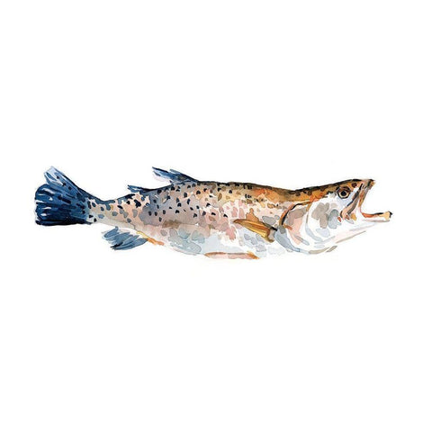 Freckled Trout II White Modern Wood Framed Art Print by Scarvey, Emma