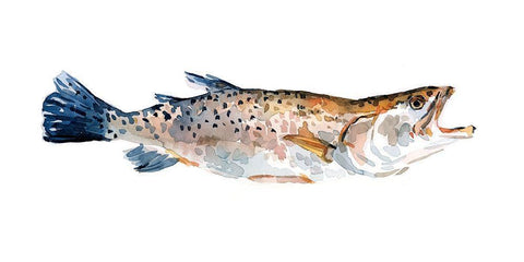 Freckled Trout II White Modern Wood Framed Art Print with Double Matting by Scarvey, Emma