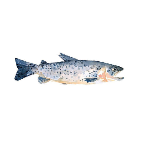 Freckled Trout IV White Modern Wood Framed Art Print by Scarvey, Emma