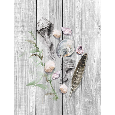 Drifted Ashore I White Modern Wood Framed Art Print by Parker, Jennifer Paxton