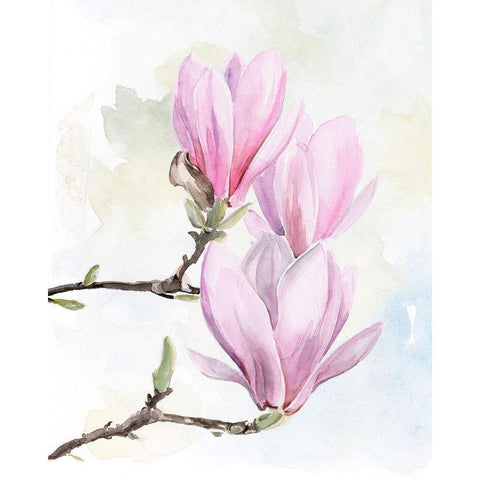 Magnolia Blooms I Gold Ornate Wood Framed Art Print with Double Matting by Parker, Jennifer Paxton