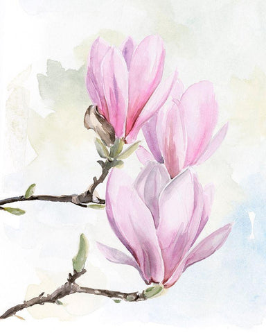 Magnolia Blooms I White Modern Wood Framed Art Print with Double Matting by Parker, Jennifer Paxton