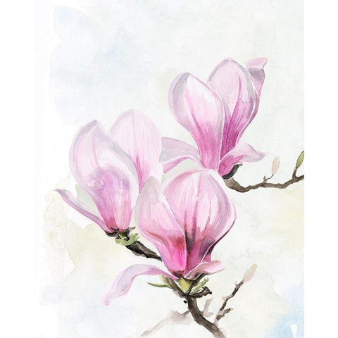 Magnolia Blooms II White Modern Wood Framed Art Print by Parker, Jennifer Paxton