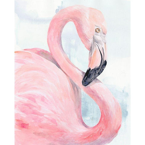 Pink Flamingo Portrait I Black Modern Wood Framed Art Print with Double Matting by Parker, Jennifer Paxton