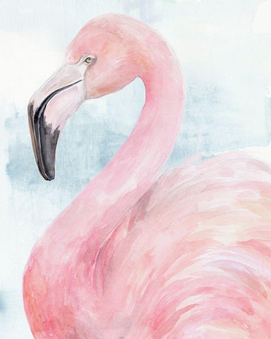 Pink Flamingo Portrait II White Modern Wood Framed Art Print with Double Matting by Parker, Jennifer Paxton