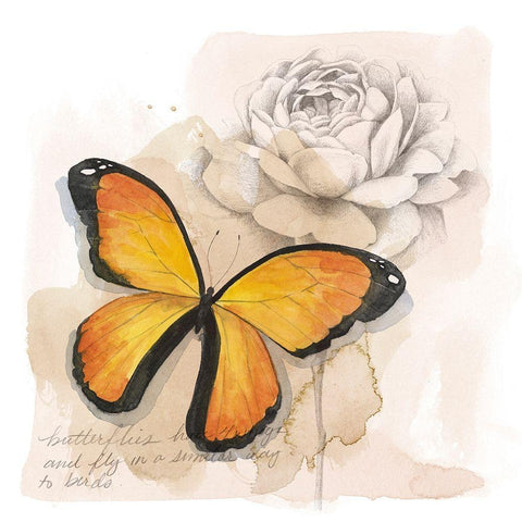 Shadow Box Butterfly IV White Modern Wood Framed Art Print with Double Matting by Popp, Grace
