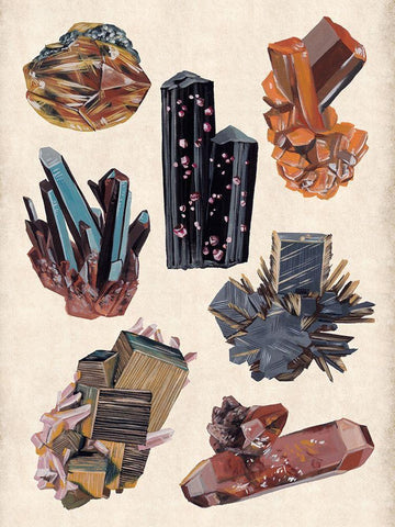 Vintage Minerals I Black Ornate Wood Framed Art Print with Double Matting by Wang, Melissa