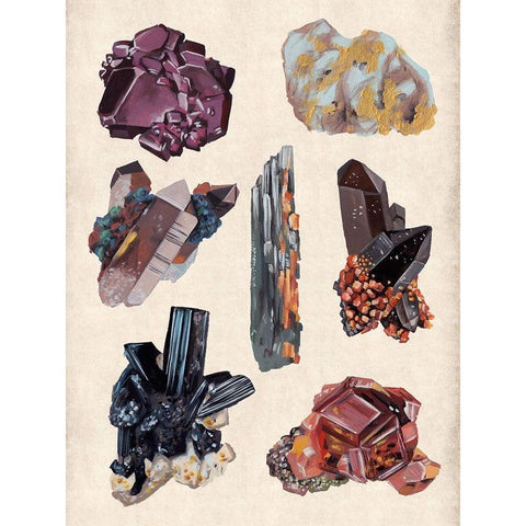 Vintage Minerals II Black Modern Wood Framed Art Print by Wang, Melissa