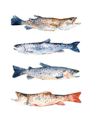Stacked Trout I White Modern Wood Framed Art Print with Double Matting by Scarvey, Emma