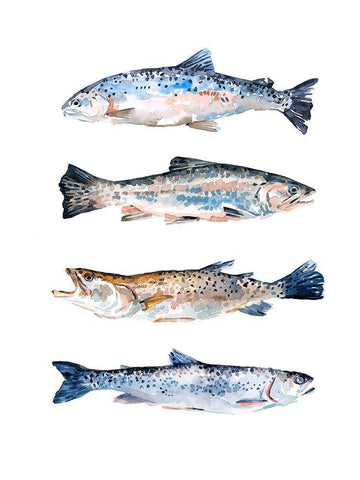 Stacked Trout II White Modern Wood Framed Art Print with Double Matting by Scarvey, Emma