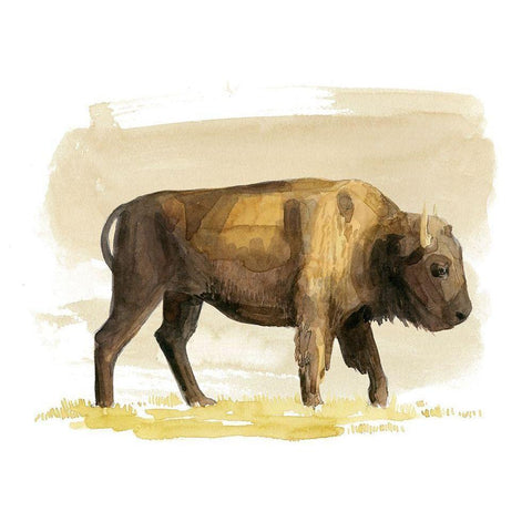 Bison Watercolor Sketch I Gold Ornate Wood Framed Art Print with Double Matting by Popp, Grace