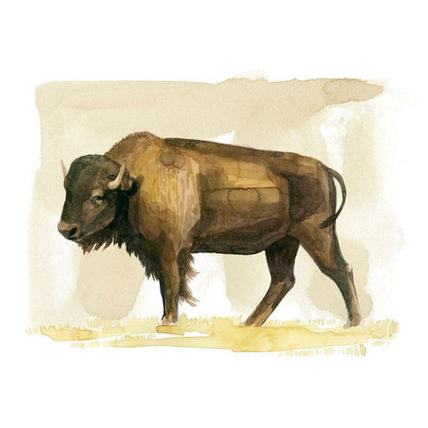 Bison Watercolor Sketch II Gold Ornate Wood Framed Art Print with Double Matting by Popp, Grace