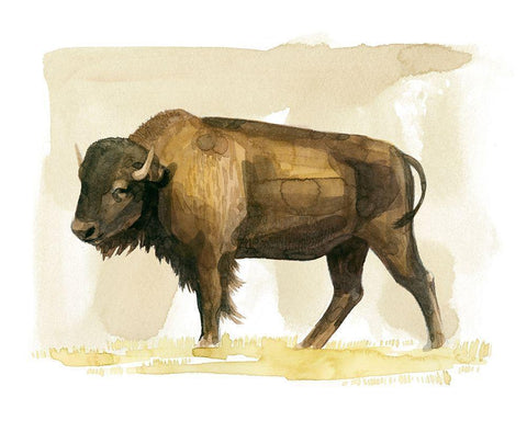 Bison Watercolor Sketch II Black Ornate Wood Framed Art Print with Double Matting by Popp, Grace