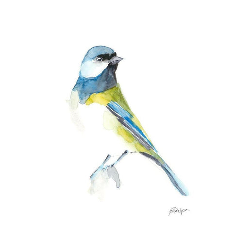 Watercolor Songbirds I Black Modern Wood Framed Art Print by Harper, Ethan