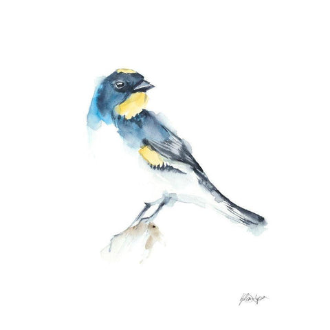 Watercolor Songbirds III Black Modern Wood Framed Art Print with Double Matting by Harper, Ethan