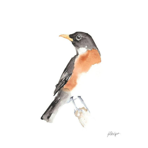 Watercolor Songbirds IV Black Modern Wood Framed Art Print by Harper, Ethan